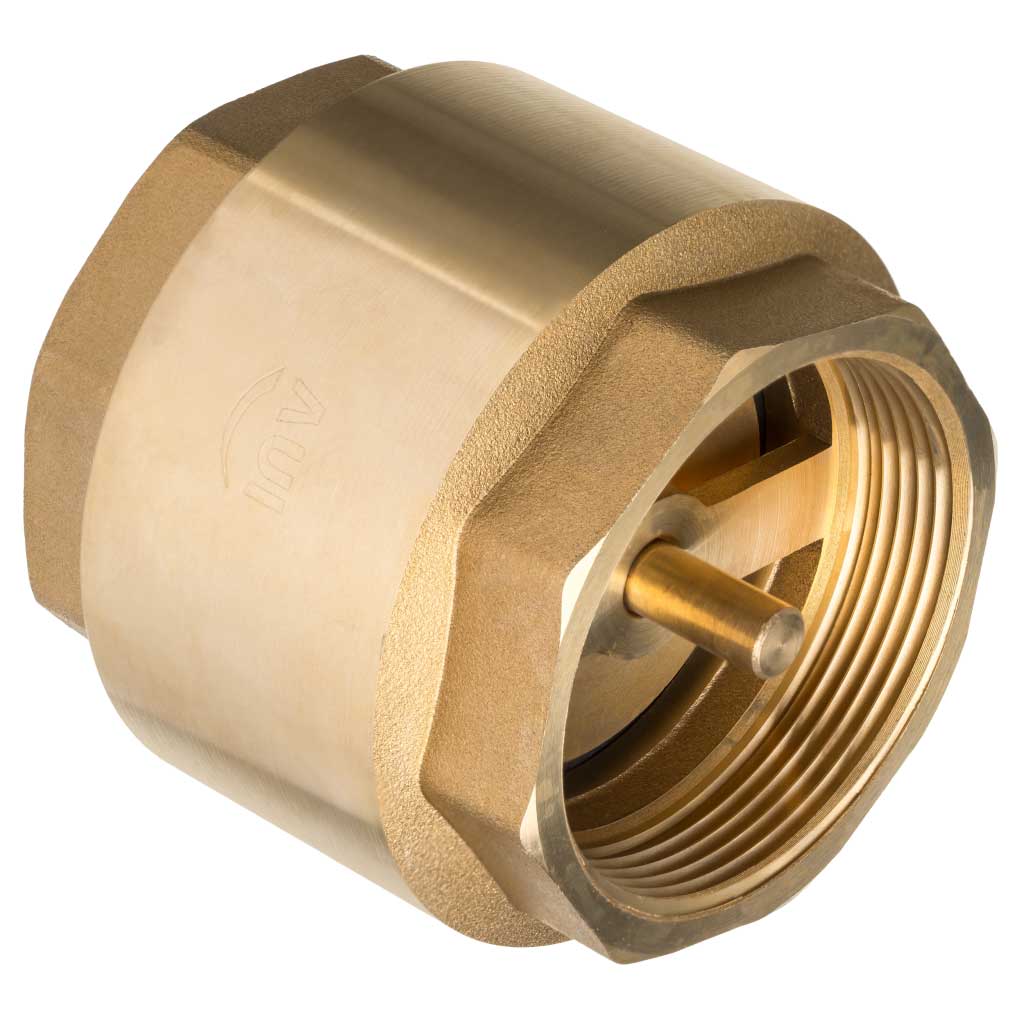 Spring Non-Return Check One Way Valve Female x Female 12 Bar Check Valves