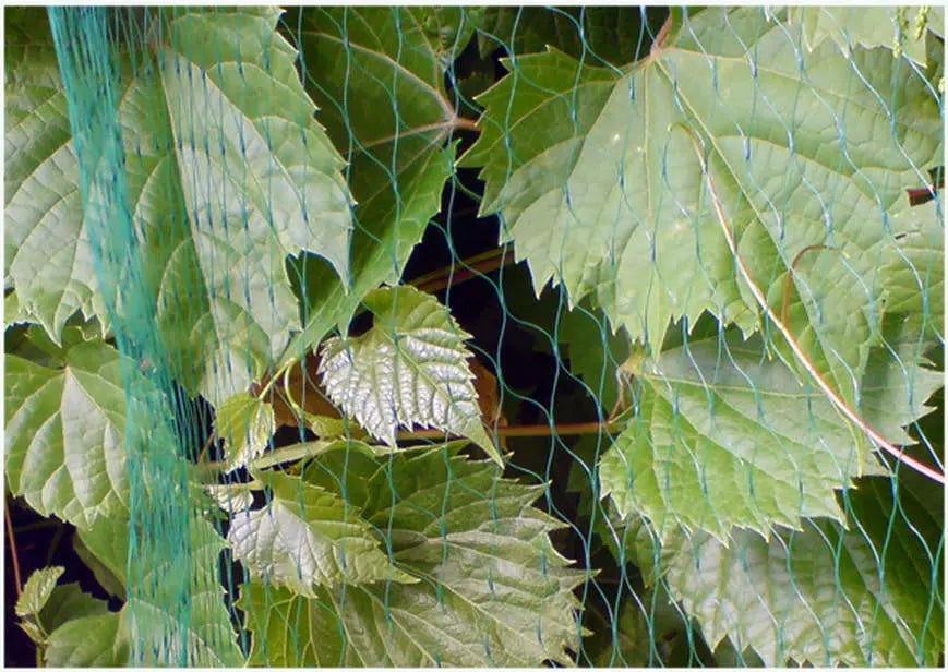 100x4m Anti Bird Netting Tree Plant Fruit Protection Mesh - Plant Protection