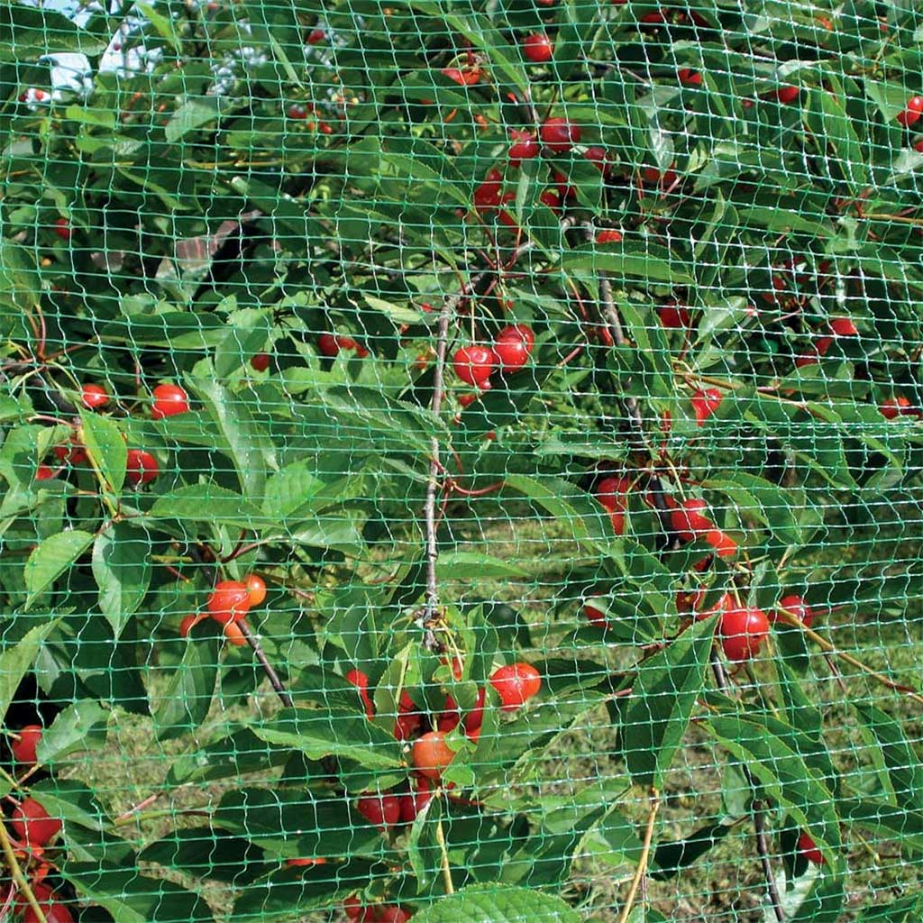 20x4m Anti Bird Net Netting Tree Plant Fruit Protection Mesh - Plant Protection