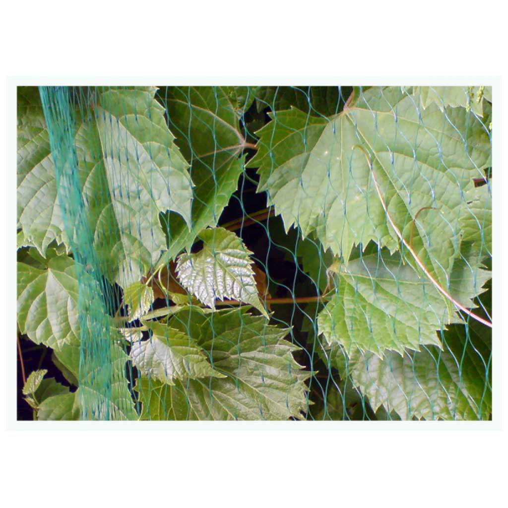 100x4m Anti Bird Netting Tree Plant Fruit Protection Mesh - Plant Protection