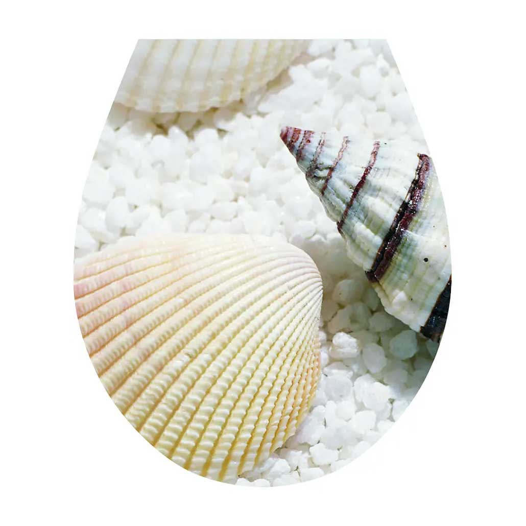 WC Seat Sticker Toilet Lid Cover Bathroom 32x38cm Shells