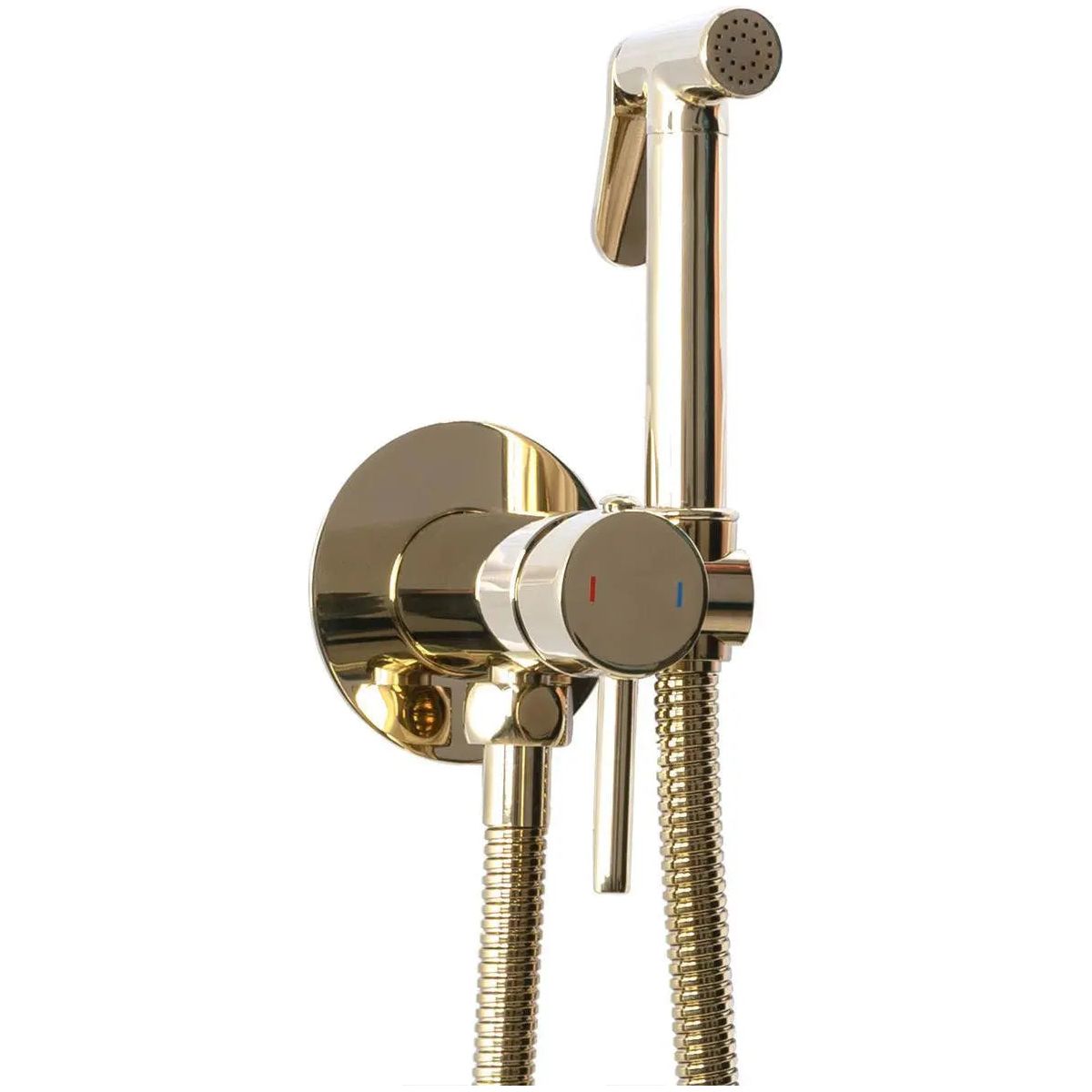 Gold Bidet Sprayer Mixer Expendable Handle 1.2m Sprayer Hose Bidet Sprayers