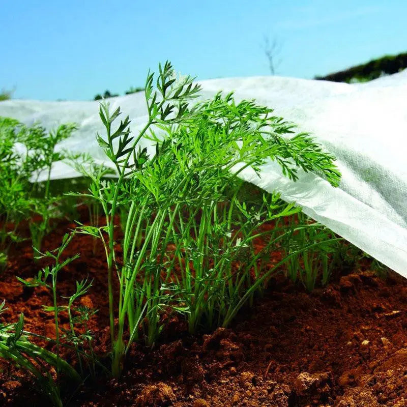 Nonwoven Crop Cover Plants Frost Protection Insect Netting Plant Protection
