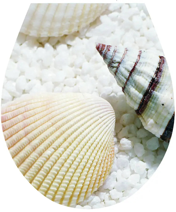 Sea Shells WC Seat Sticker Toilet Lid Cover Bathroom 32x38cm Toilet Seat Covers