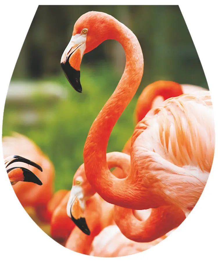 Flamingo WC Seat Sticker Toilet Lid Cover Bathroom 32x38cm Toilet Seat Covers